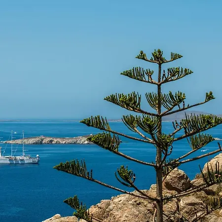 Radiana By Mykonos Pearls *